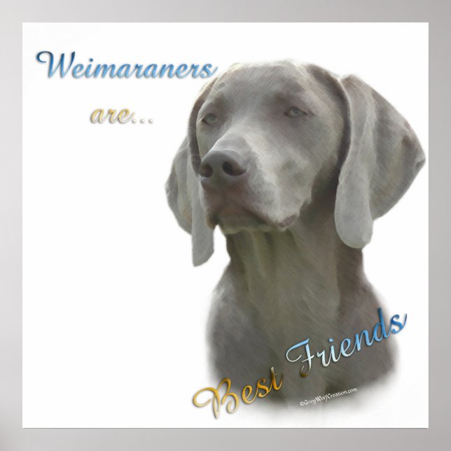 Os Weimaraners são o melhor Poster dos amigos (Frente)