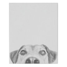 Oscar, o cão