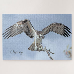 Osprey Jigsee Quebra-cabeça