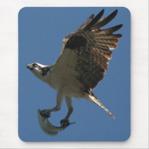 Osprey/peixes Mousepad
