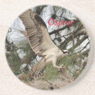 Osprey Wildlife Porta copos