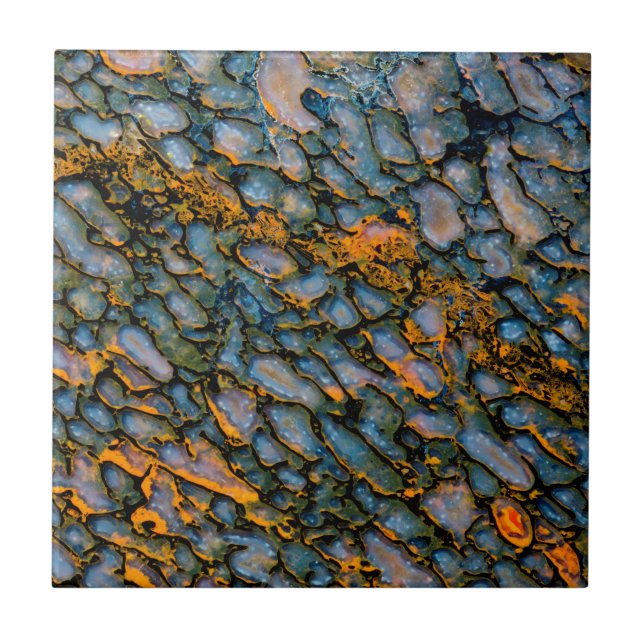 Osso de Dinossauro Petrificado (Frente)