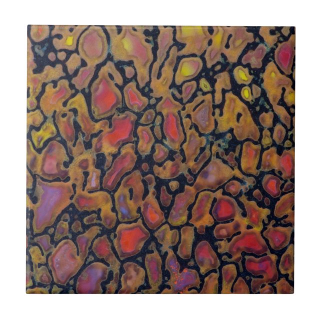 Osso do Dinossauro Padrão (Frente)