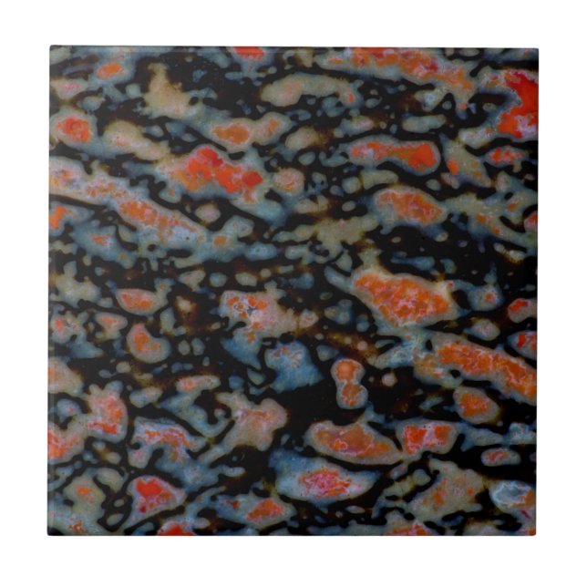 Osso do Dinossauro Petrificado Colorido (Frente)