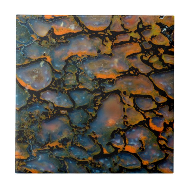 Osso do dinossauro Petrificado Laranja (Frente)