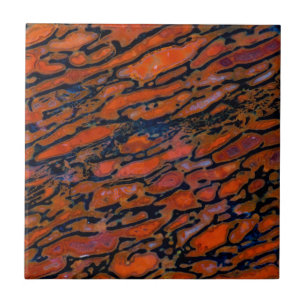 Osso do dinossauro Vermelho Petrificado