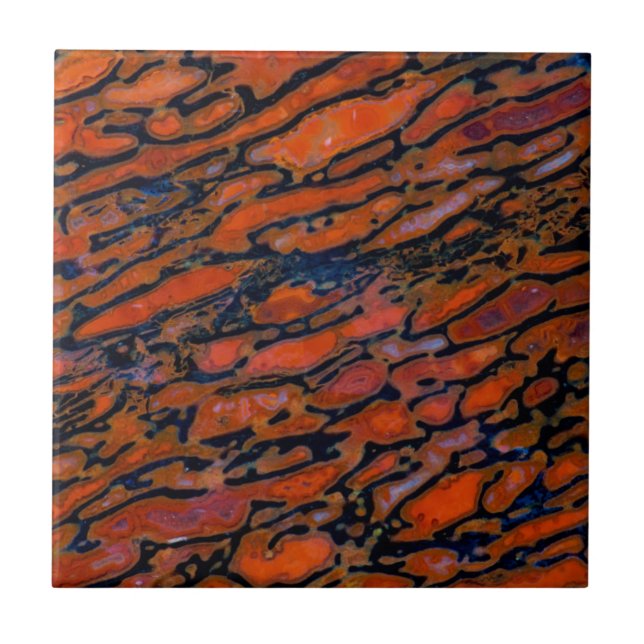 Osso do dinossauro Vermelho Petrificado (Frente)