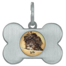 Osso em forma de cão Schnoodle