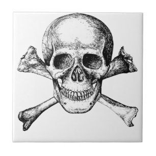 Ossos do crânio e da cruz