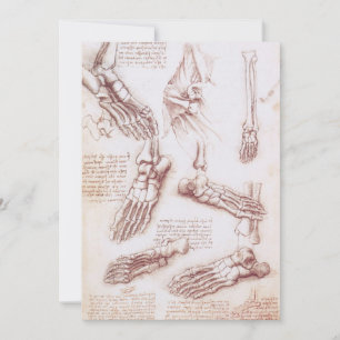 Ossos do Pé da Anatomia Humana de Leonardo da Vinc