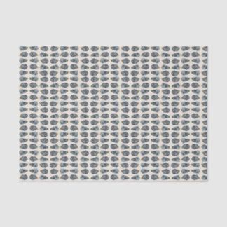 Ostras em meio papel de tecido de casca 