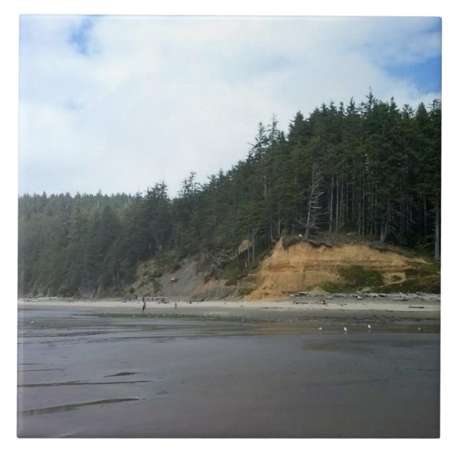 Oswald West State Park, Oregon Coast (Frente)