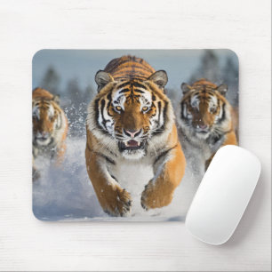 Ótimo Mouse Pad do Tigre!