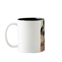 Otis o cão numa caneca