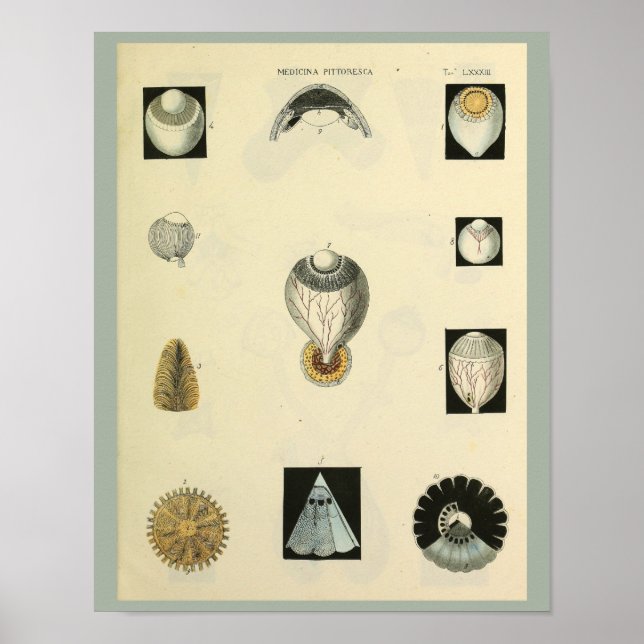 Otometria Anatomia Ocular Impressão de Arte Médica (Frente)