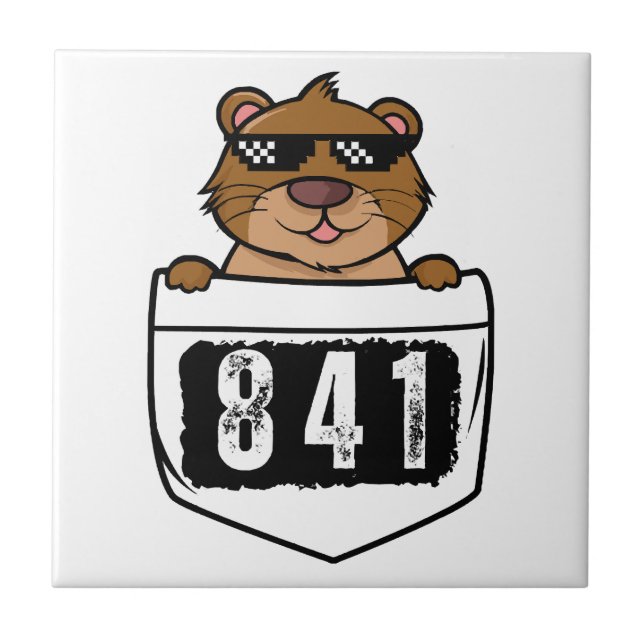 Otter 841 (Frente)