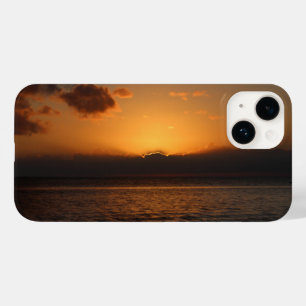 OtterBox sunset