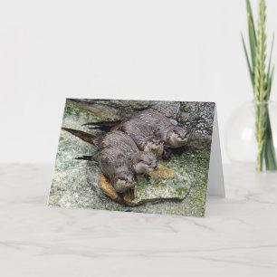 Otters 4 numa linha Cartão de Saudação