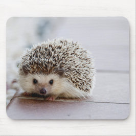 ouriço Fofo, Mouse Pad