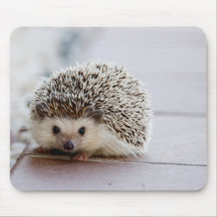 ouriço Fofo, Mouse Pad