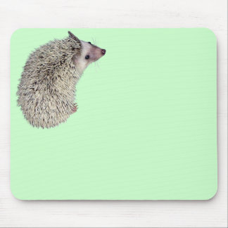 Ouriço Mousepad 2