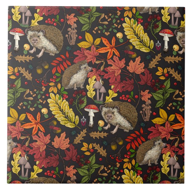Ouriços-cacheiros e flora da floresta outonal em p (Frente)