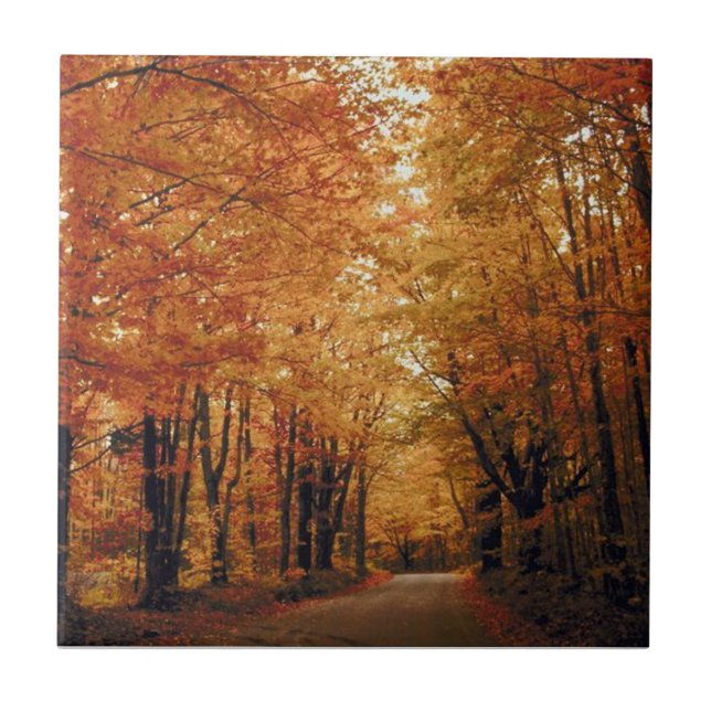 Ouro Autumn Road (Frente)