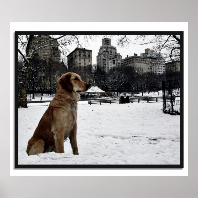 Ouro-Conservatório-Central Park 3D Frame Poster (Frente)