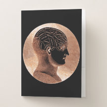 Ouro de estilo antigo cabeça de fenologia da mente