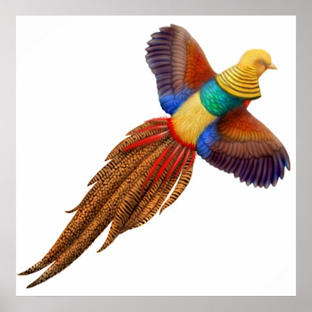 Ouro de faisão Impressão (Frente)