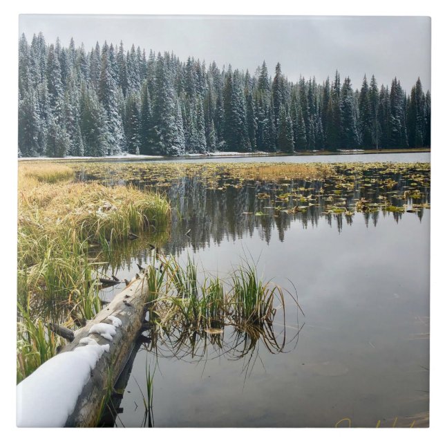 Ouro de neve (Frente)