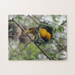 Ouro de Taveta Weaver Bird Quebra-cabeça