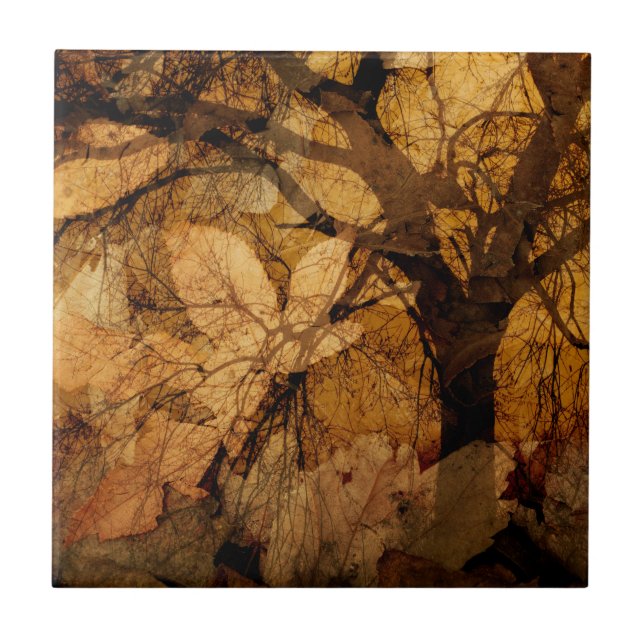 Ouro e Folhas Marinhas| Ilha Merritt, FL (Frente)