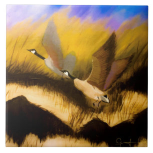 Ouro Geese