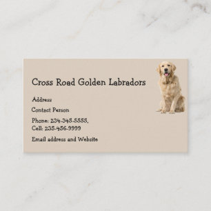 Ouro Labrador Cão Pet Animal Cartão de visita Ma