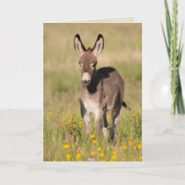 "Ouro Meadows" - Cartão de saudação