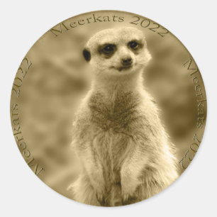 Ouro Meerkat 2022 Moedas, Adesivos redondos