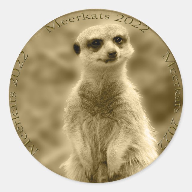 Ouro Meerkat 2022 Moedas, Adesivos redondos (Frente)