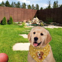 "Ouro para Ouro de Na moda para sempre Floral