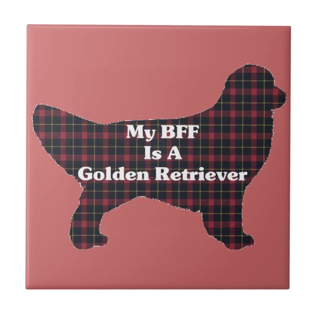 Ouro Retriever BFF (Frente)