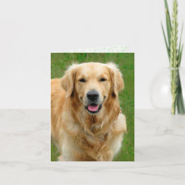 Ouro Retriever — Cartão de condolências de cães