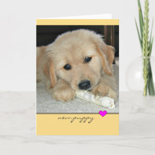 Ouro Retriever Novo Cartão de Saudação Puppy
