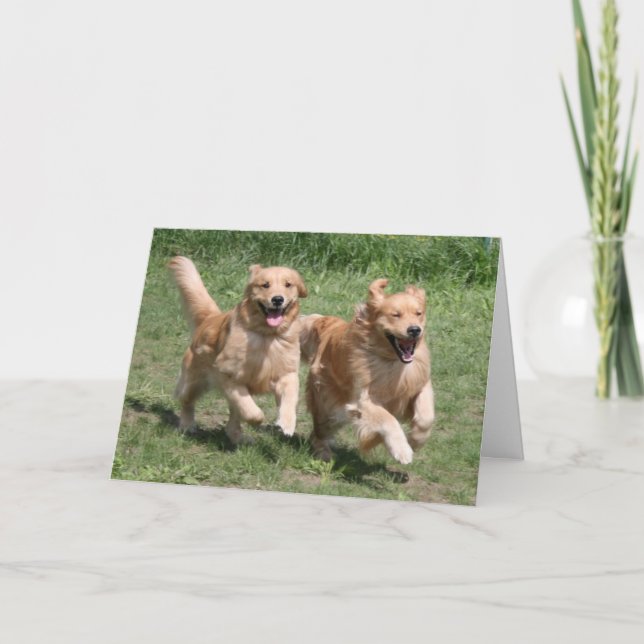 Ouro Retriever onde está a festa? Cartão (Frente)