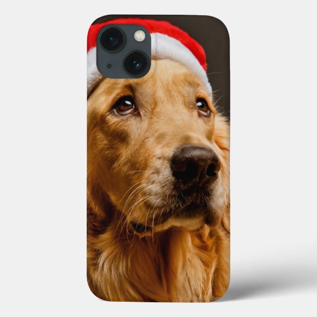 Ouro Retriever posando no Natal (Verso)