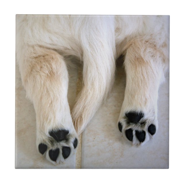 Ouro Retriever Puppy Toes (Frente)