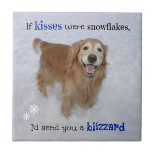 Ouro Retriever Snowflake Kisses