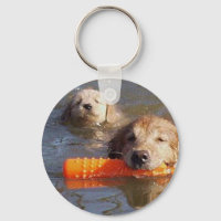 Ouro Retrievers Chaveiro Adulto E Puppy