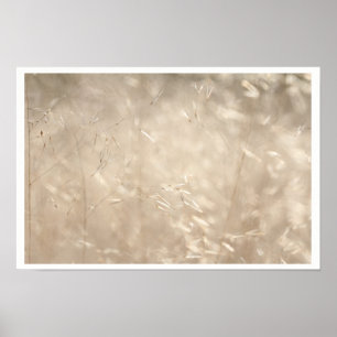 Ouro Savannah Grass A3 Poster