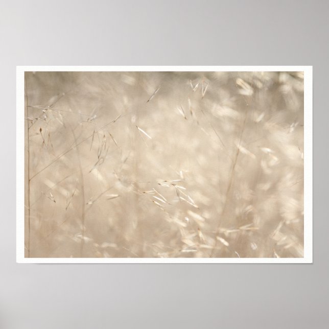 Ouro Savannah Grass A3 Poster (Frente)