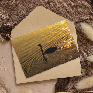 Ouro Swan Paper